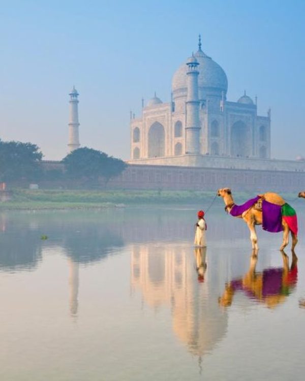 c1d063f5eb1254ff2aadcd04539a1b19