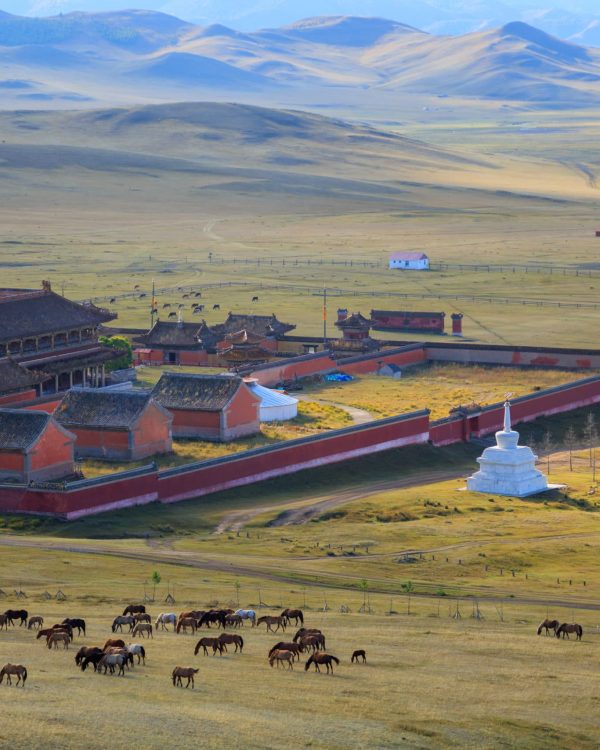 shutterstock_567790027-scaled